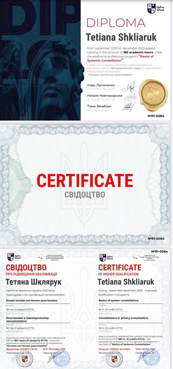 Diploma - Systemic Constellations